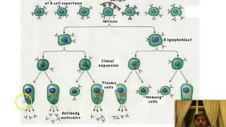 23  Chapter 7 Doc 7  Lebanese Bac  Biology LS [upl. by Tnomed]