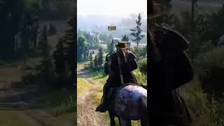 Red Dead Redemption 2 [upl. by Daffie]