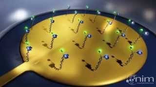 Functional principle of the unique switchSENSE Technology [upl. by Calista]