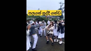 උදාර කොල්ලෙක් ඌ 🤐😂 dance viral trending funny trendingdance shorts [upl. by Pascoe]