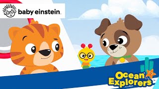 Lets Explore Ocean Explorers  Trailer  Every Saturday  Baby Einstein  Toddler Show [upl. by Nirat]