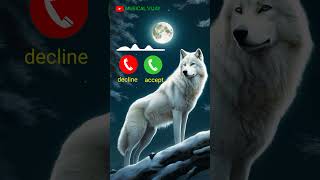 New call ringtone 2024  hindi ringtone 2024 trending Ringtone love ringtone song mobile ringtone [upl. by Swarts959]