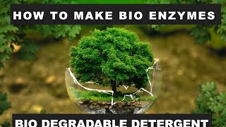 How to make bio enzymes  uses of bio enzymes  pollution ka solution  zero waste India [upl. by Leeann423]