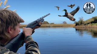 2024 DUCK HUNTING Most ducks we’ve ever seen [upl. by Viguerie]