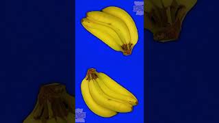 Apples and Bananas song BabyBigMouth shorts  funny dancemusic kidssong apple banana [upl. by Palumbo6]