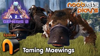 ARK Genesis 2 Taming Maewings Ep2 NoobLets Plays ARKgenesis2 [upl. by Wagner66]