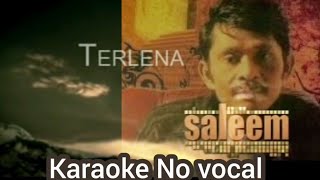 TERLENA  Saleem Karaoke No Vocal Original sound [upl. by Harriman]