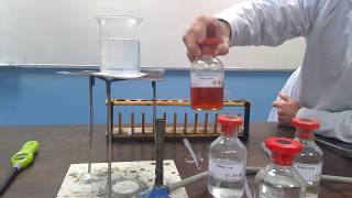 Testing Alcohols by Oxidation [upl. by Lucinda162]