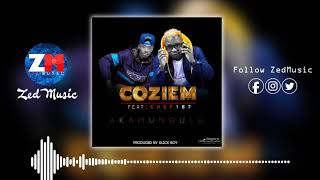 Coziem Ft Chef 187  Akamungulu Official Audio  ZedMusic  Zambian Music 2019 [upl. by Donela44]