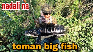 SA WAKAS NADALI NA ANG BIG TOMAN FISH [upl. by Ssor]