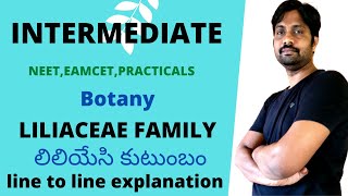 Liliaceae Family  లిలియేసి కుటుంబం  Inter NEETEamcetPracticals  Most important video [upl. by Ahsekat]