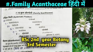 Family Acanthaceae in hindi  BSc 2nd year Botany 3rd Semester [upl. by Eiramanel]