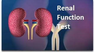 Renal function test normal values RFT [upl. by Morna]