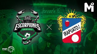 Escorpiones Zacatepec vs Club Irapuato [upl. by Eicyal]