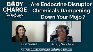 Are Endocrine Disruptor Chemicals Dampening Down Your Mojo  Erin Souza [upl. by Eittocs]