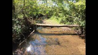 THE NATURALIST  Episode 45  Kiser Lake Wetlands State Nature Preserve [upl. by Bej]