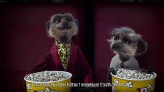 Compare the Meerkat  Advert 71 [upl. by Araed]