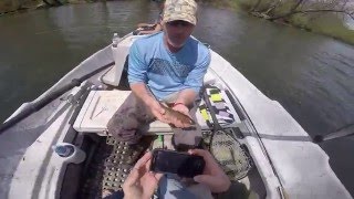 Tuckasegee River Drift Boat Fly Fishing Brown Trout [upl. by Omissam]