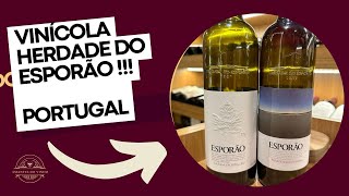 VINHO PORTUGUÊS ESPORÃO [upl. by Ennaus914]