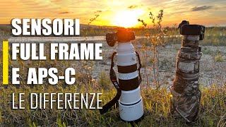 Differenze tra sensori APSC vs Full FRAME  Confronto Mirrorless nella Fotografia Naturalistica [upl. by Hsirrehc]