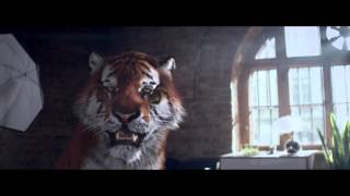 Tiger Energy Drink amp AbstrachujeTV – Kogut Android [upl. by Kimmie173]