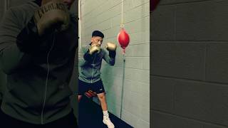 Training With Everlast Elite 2 Retail Gear [upl. by Adnical611]