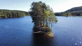 Finnskogen  Sweden  Mavic Mini Clips [upl. by Aiel]