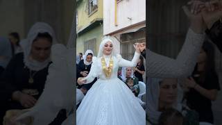 halay trending düğün trendingshorts kurdish dugun dugunfotografcisi wedding [upl. by Nylirret]