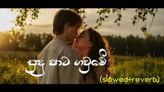 Sudu Pata Gaume  සුදු පාට ගවුමේ 💓🎧🍃slowedreverbsinhalmusic hedphone slowdreverb [upl. by Uphemia]