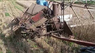 Binding and Threshing Wheat [upl. by Elidad603]