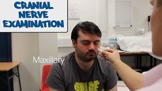 Cranial Nerve Examination  OSCE Guide old version  UKMLA  CPSA [upl. by Kerat]