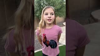 🐔Rooster Crow kidslearning [upl. by Teemus]