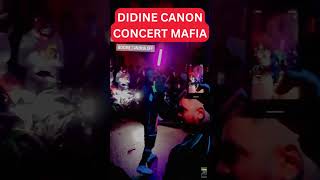 DIDINE CANON MAFIA EN CONCERT مافيا shorts didinclash mafia rap rapdz [upl. by Nyleaj]