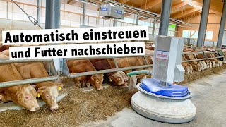 Bullenmastbetrieb Friesacher setzt auf Hetwin Einstreuroboter Astor und Futterschieber Stallboy [upl. by Iznek]