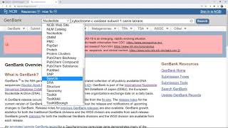 How to use GenBank [upl. by Enytsirk967]