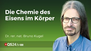 Chemische Komplexität im Körper Dr Bruno Kugel enthüllt die Wahrheit über Eisenmangel  QS24 [upl. by Nutsud605]