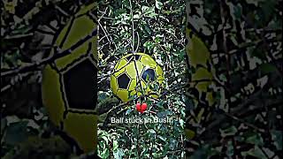 When the ball GET’S stuck in the Bush edits capcut shorts [upl. by Kennie807]