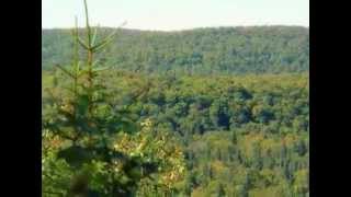 Haliburton Forest  Overview and History [upl. by Deer]