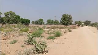 bikaner se 15 km dur camand jamin bikau h ji 9 biga ret 14 lakh par biga 96100568347972025611 [upl. by Mischa]