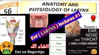 🔴anatomy and physiology of larynxENT LARYNX LECTURES 1 muscle cartilage membrane joints spaces [upl. by Argyres]