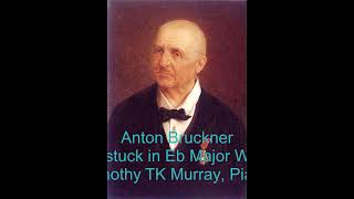 Bruckner  Klavierstuck in Eb Major Wab119  Timothy TK Murray Piano [upl. by Yelra]