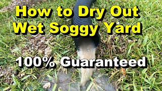 How to Dry Out Wet Soggy Yard  100 Guaranteed [upl. by Atiragram]