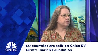 EU countries are split on China EV tariffs Hinrich Foundation [upl. by Shayne]