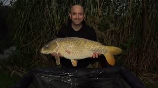 Late summer on Vermuyden Lake  7 Fish haul and a new lake PB [upl. by Swane]