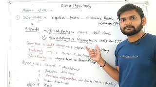 Salt stress Stress physiology in plantsCSIR NET [upl. by Fernande]