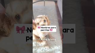 🎀•Nombres para perritas•🎀noflop aesthetic fypシ゚viral soft perritos [upl. by Adnima414]