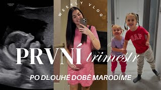 Shrnutí 1 trimestru křečové žíly amp odlišnosti 3 těhotenství  VLOG [upl. by Sarid]