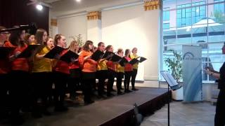 Kinderchor 1 des GoetheGymnasiums Schwerin [upl. by Hajidahk]