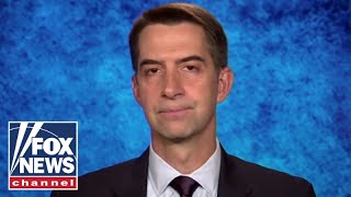 This is crazy Cotton calls for probe of Democrat ballot scandal [upl. by Hoagland39]