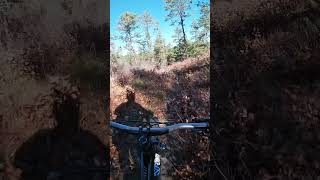 MYLES STANDISH  has good trails  mtb mountainbike mtblife downhill mountainbiking mtbfun [upl. by Emalia]